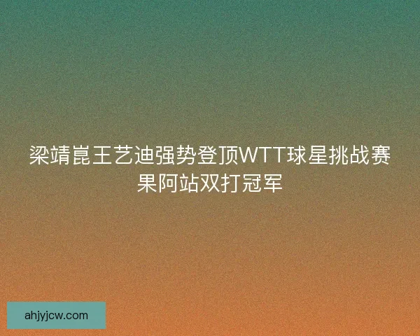 梁靖崑王艺迪强势登顶WTT球星挑战赛果阿站双打冠军